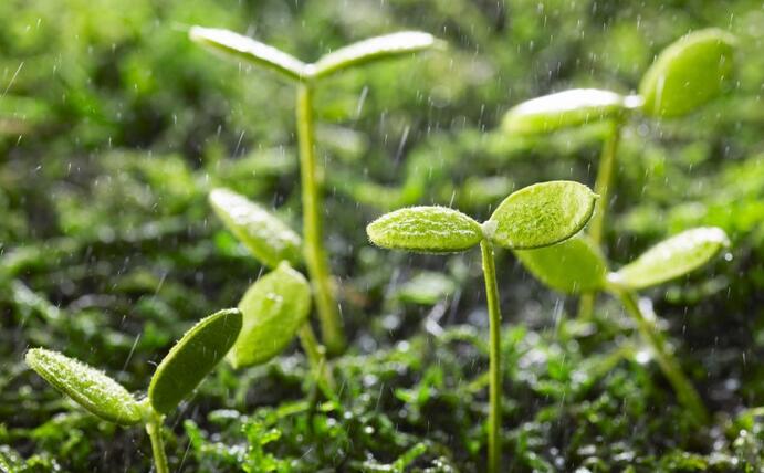動態(tài) | 生物刺激劑多重效果大揭秘，可減少百萬噸氮肥的投入！